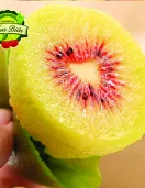 Kiwi đỏ Thùng 2KG